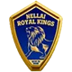 Nellai Royal Kings