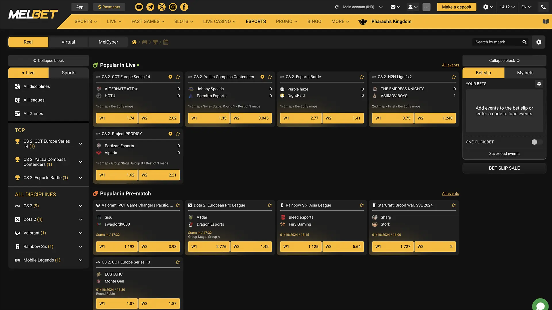 Identify a favourable upcoming cyber sports match for your Melbet Casino bets.